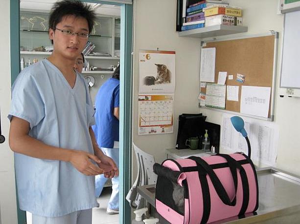 動物病院の設備は日本のものと大差ありません。日本人の先生もいらして、気さくに相談にのってもらえますよ。ペットショップ＆ペット病院からお伝えしました！
