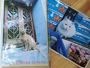 上海猫のカード（4元）