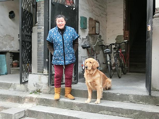 犬といっしょだと、喜んで写真を撮らせてくれるのも上海のおじちゃんおばちゃんたちの特徴です