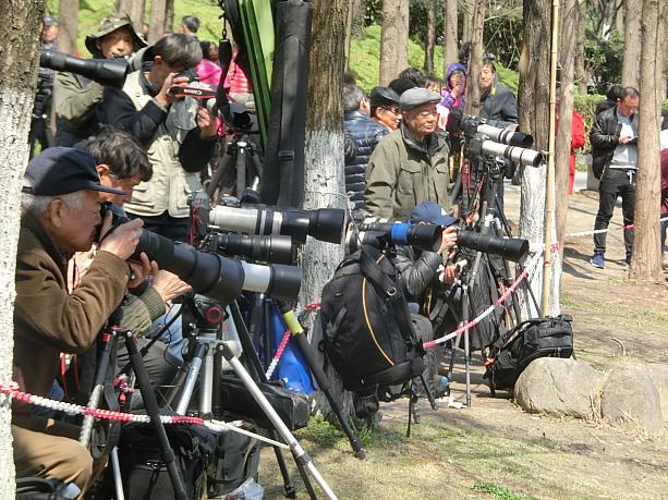 定年後、自慢のカメラを持って公園に集まるアマチュアカメラマンが増加中
