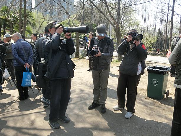 カメラも仲間とわいわい楽しむのが上海人流