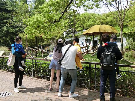「上海動物園」に行ってみよう！【2020年版】 上海動物園 カワウソパンダ