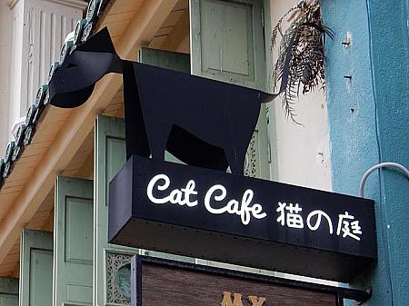 親日国シンガポールでは和食の店が驚くほど日系の店が多いんですよ！シンガポール初の猫カフェまであります☆