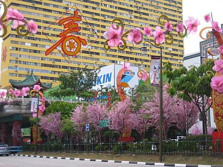 常夏のシンガポールに、桃並木が出現！（2010.2）