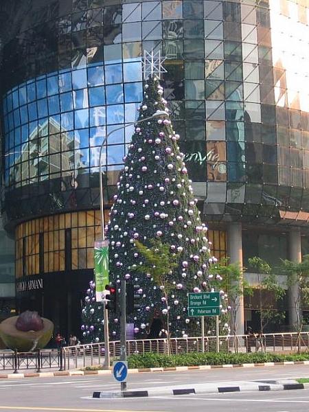 IONのクリスマスツリー。中に入れました（2009.11）