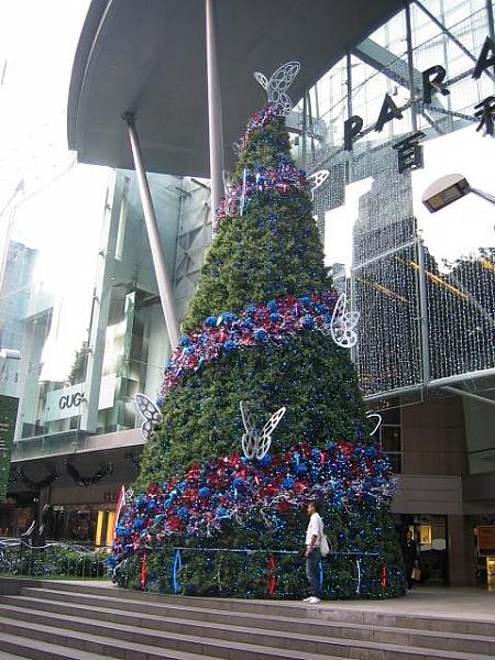 パラゴンのクリスマスツリー。蝶が華やか（2009.11）