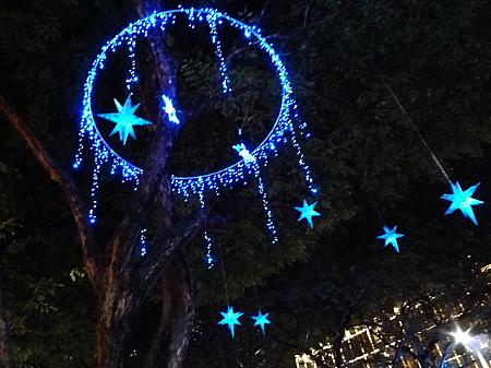 街路樹の星のオブジェに灯りが点くと、幻想的な光景に。