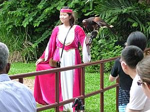 華麗な衣装で鷹を扱う女性の調教師