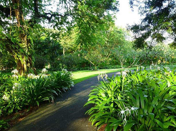 朝のシンガポールはこう歩く！ モデルプラン ボタニック・ガーデン ローカルフードリトルインディア