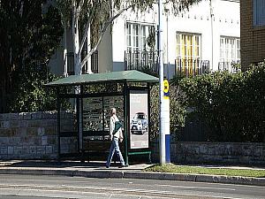 Spit Road x Awaba Streetのバス停。
