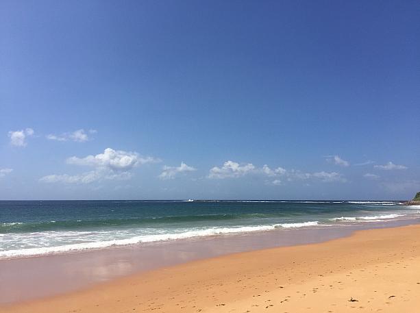 みてください！この見事な「ザ・ビーチ」！こんな景色をみると改めてオーストラリアにいるんだなぁと実感が湧いてきちゃいます。今度はどこのビーチに行こうかな？