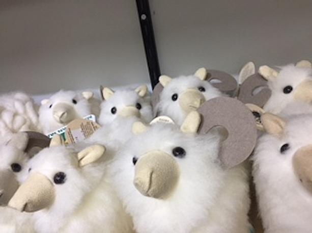 オーストラリア国内にある「ビッグシリーズ」の一つらしく、かつて羊毛産業で栄えたこの街には「羊」ということになったようです。
建物の中にはお土産物屋さん。