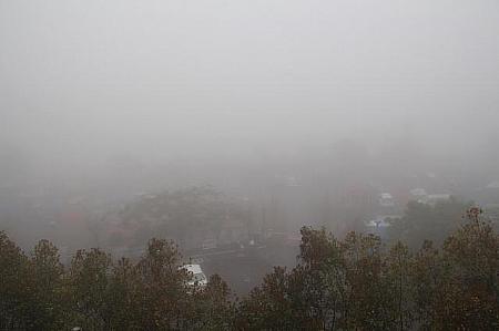 霧の中で、茶畑は見えず