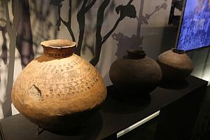 台湾の調査した人々の紹介や、実地調査の結果採集された文物や標本などの展示