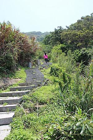 青年民宿の横は、芹壁村の山の方へ登る道もあります
