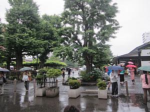 かの有名な浅草寺が見えてきます