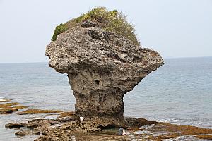 ランドマークの花瓶岩です