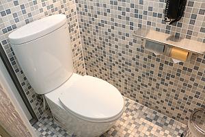 「ディスカバリー」タイプのシャワーはシンプルなタイプですが、トイレもTOTO。一体型のヘア&ボディウォッシュが置かれていますが、こちらもドイツの天然コスメブランドです
