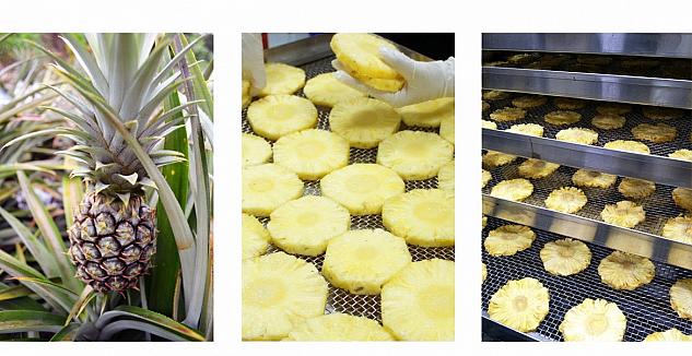 農夫が大切に育てた果物を、国際標準規格の工場で丁寧に商品化して消費者にへ<br>(画像提供：陽光菓菓 SunnyGoGo) 