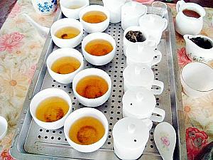 中国茶へのいざない　その2 茶 お茶 茶摘み ウーロン茶発酵
