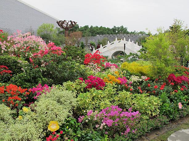ユリが咲きほこる中國上海庭園
