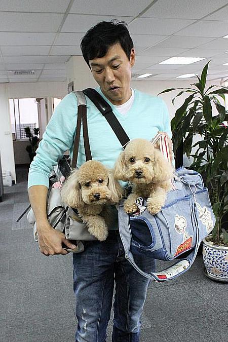 加賀美智久さんが語る「台湾愛犬事情」 犬 ペット 愛犬 モデル加賀美智久