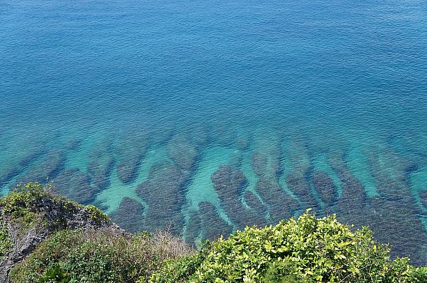 でも、何と言っても海の美しさに魅せられて小琉球に来る方多いのではないでしょうか？