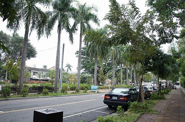 台南大学の近くの道には緑がいっぱい！やっぱり台南の街は街歩きが楽しいですよね～