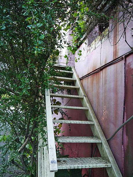 パッションフルーツの樹をくぐって階段を上っていくとナビが宿泊した「慢吞吞的落羽松」に到着です！