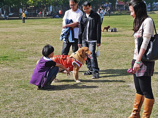 まずやってきたのは「台中市民廣場」の緑地！お休みともなると市民が愛犬を連れて戯れています♪