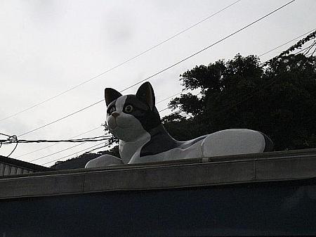 家の屋根にも猫が！