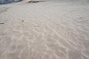 風と波に吹かれた砂の模様が美しい～