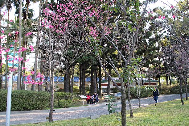 台北市内には、観光途中でも行ける公園がいくつかあります
