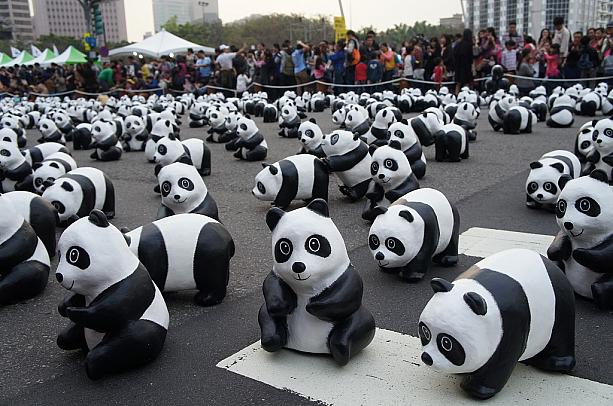 全部で1600匹のパンダちゃんが飾られているのですが、これは何の数字だと思いますか？