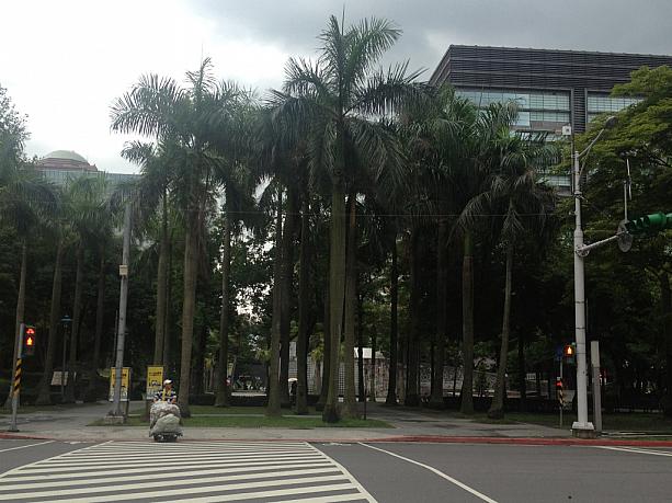 台北101から市政府まではのんびり歩いて約15分ほどでした〜。