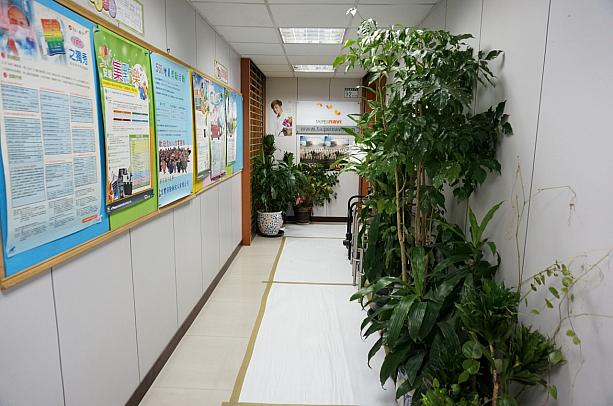 ナビプラザへ続く道には、ナビプラザ及びオフィス内にあった植木が置かれ、緑に溢れています～♪