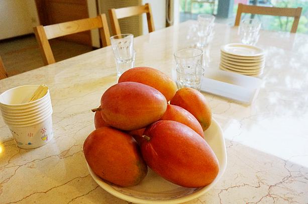 マンゴー農家さんが経営するカフェ「緑果子」。そのため、マンゴーアイスなどが食べられるのですが…