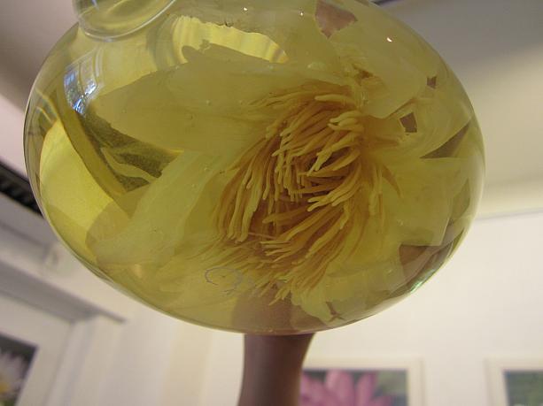 お湯を注いだ途端、パッと花が開いて、みるみるうちに美しい黄金色の液体が。この色は花のミネラルと水のミネラルが反応して出ているんだそう。こんなところにも自然界のパワーを感じます。花の大きさにもよりますが、一つでティーポット3～4回は飲めるそうです。