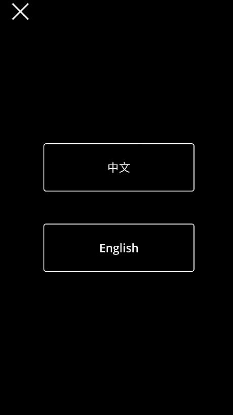 言語は中国語と英語のどちらかが選べます。日本語は残念ながら対応していません