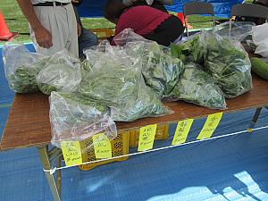 台湾の野菜も売ってました