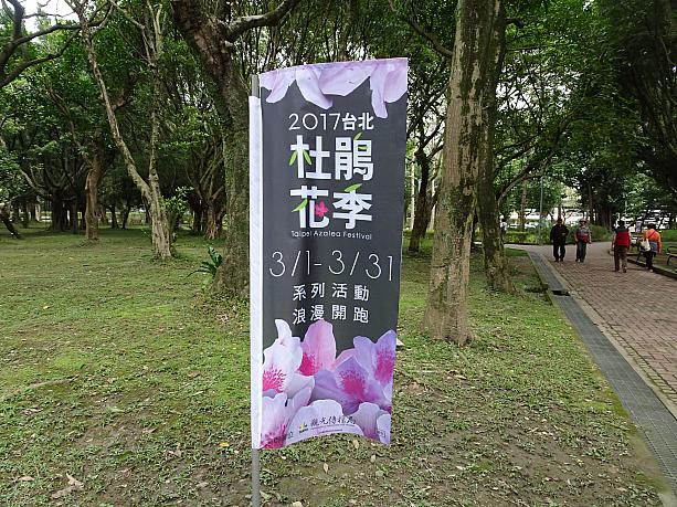 大安森林公園では2017台北杜鵑花季（つつじフェスティバル）を開催中！