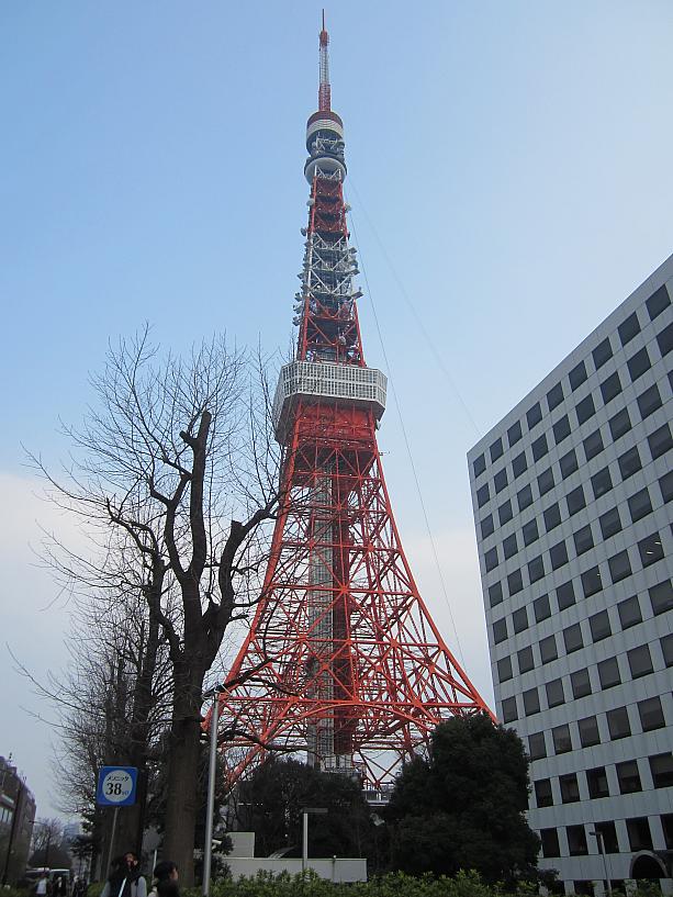 3月18日（土）～20日（月）、東京タワー・正面玄関前の広場で、台湾祭が開催されました。<br>キャッチコピーは「東京タワーに九份がやってくる」<br>なんだかワクワクしちゃいますね。