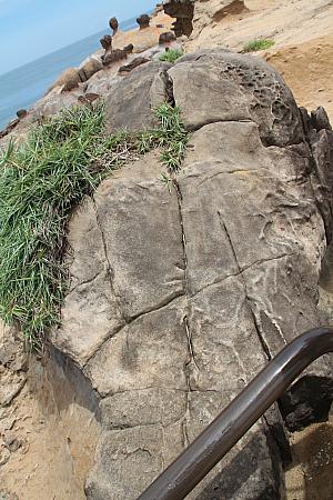 フライドチキン岩と呼ばれているそうですが、甲骨文字を連想します