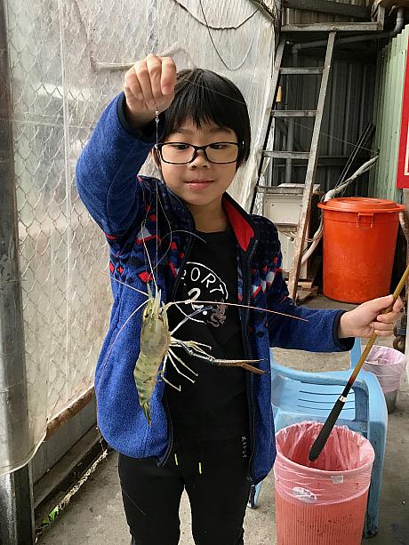 釣れた！「泰国蝦」（タイエビ）という手が青い大きなエビです。<br>子供も大人も夢中になって楽しめる遊びです。