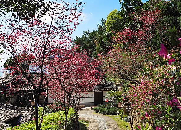 日本統治時代に温泉旅館だった「北投文物館」。日本家屋が残るこの場所で4月7、8日に「小京都初春和服慶典」という和服イベントが開かれました。