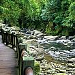 蓬莱渓溪自然生態園区