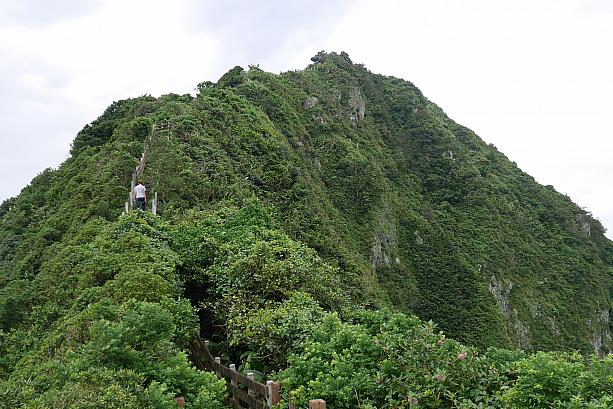 断崖絶壁という言葉がそのまま当てはまる地形。ただ、緑がとても美しいです