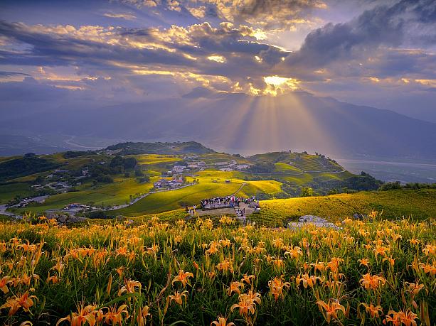 ちなみに花蓮の金針花畑で有名なのが玉里鎮の「赤科山」と富里鄉の「六十石山」。イベントもこの2ヶ所で行われます