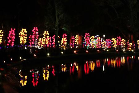 百鳥和鳴慶吉祥が飾られている池の周りのライトアップもキレイ～！