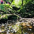 公園内の清渓歩道は小川に沿った長さ600mの遊歩道で、水のせせらぎと鳥の鳴き声を聞きながら散策できます。
